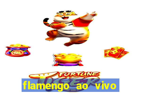 flamengo ao vivo multi canais