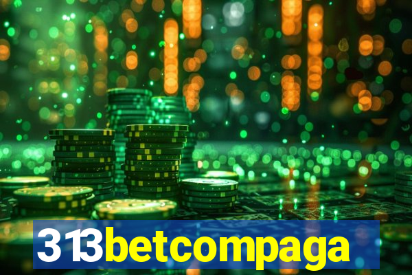 313betcompaga