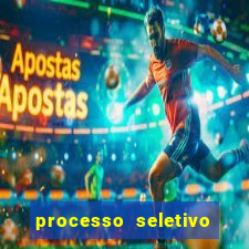 processo seletivo cerejeiras 2024