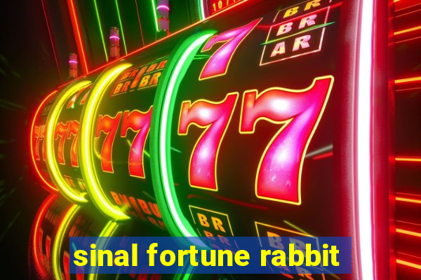 sinal fortune rabbit