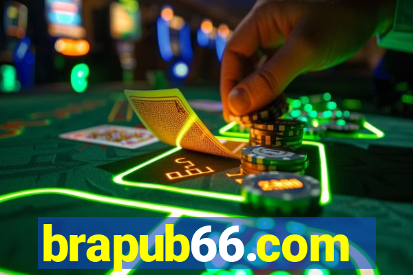 brapub66.com