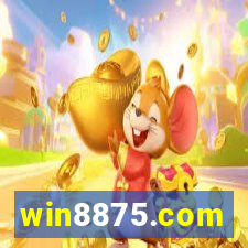 win8875.com